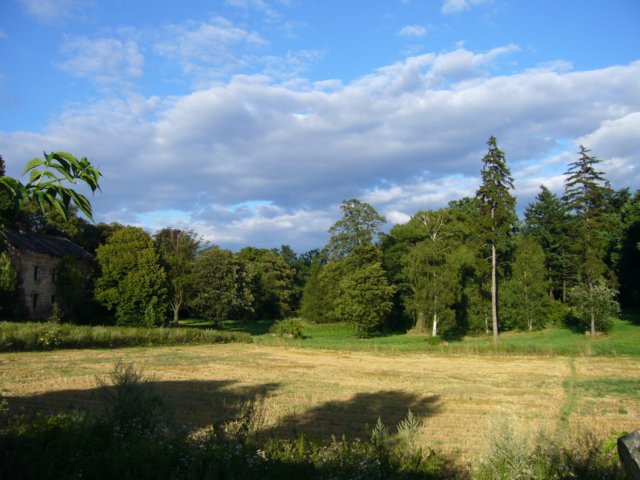 p1040720.jpg