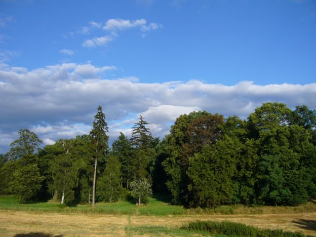 p1040721.jpg