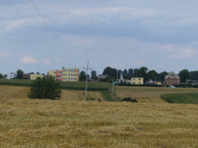 p1040827.jpg
