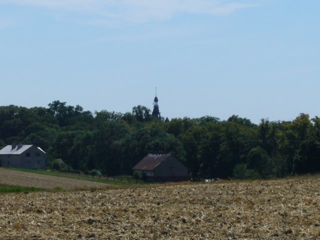 p1040936.jpg
