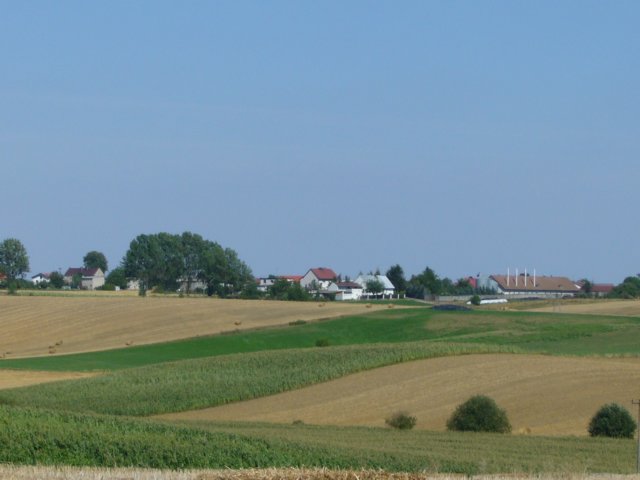 p1040969.jpg