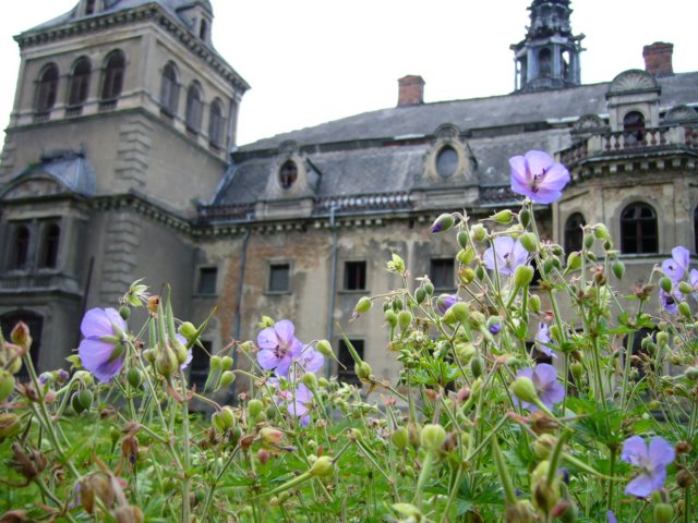 p1050065.jpg