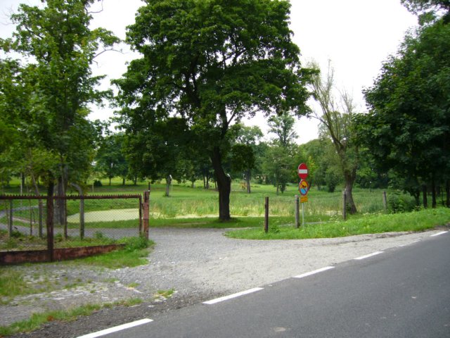 p1110426.jpg
