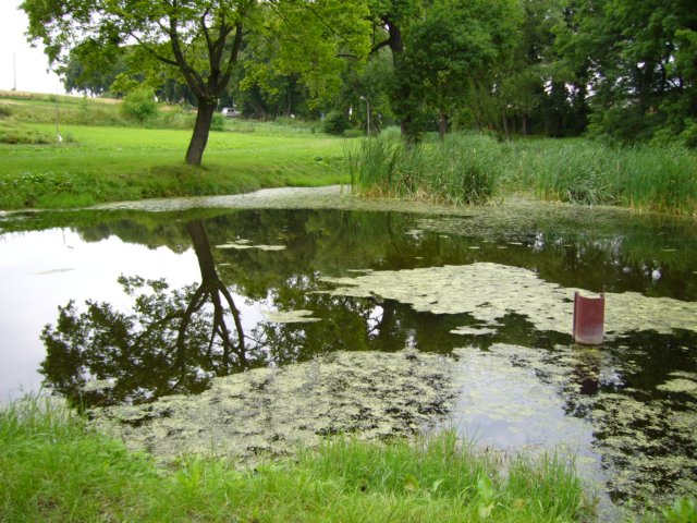 p1110450.jpg